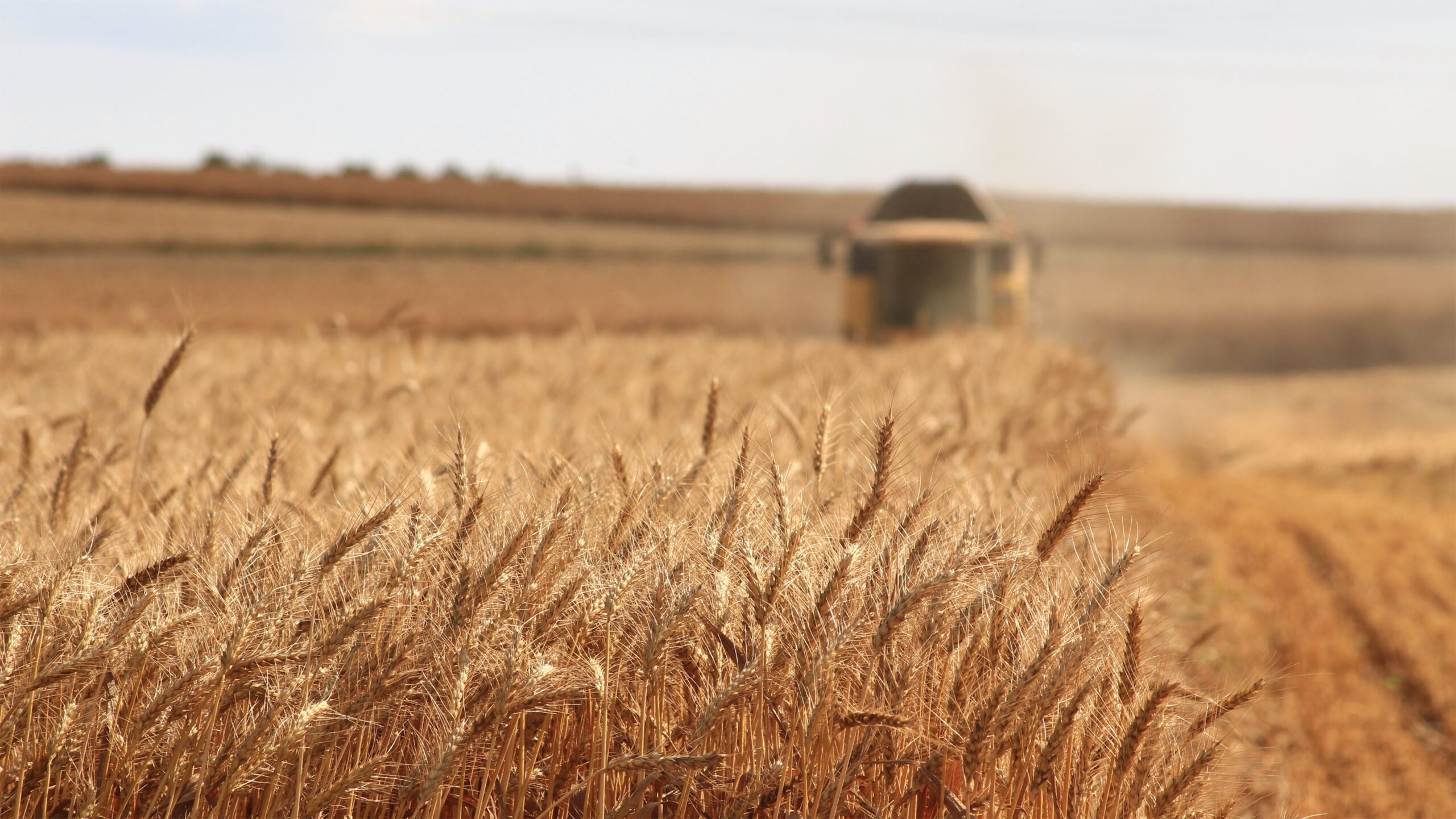 Fotografia de Meric Tuna CE1OvMrZumQ unsplash - Maquinaria Agricola